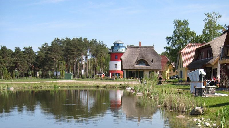 image (7)