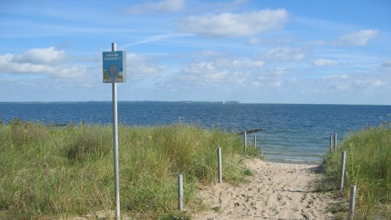 image (8)