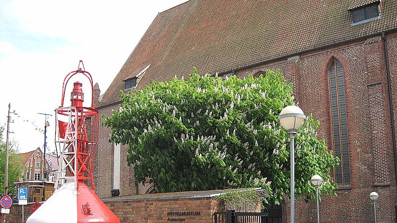 image (2).jpg