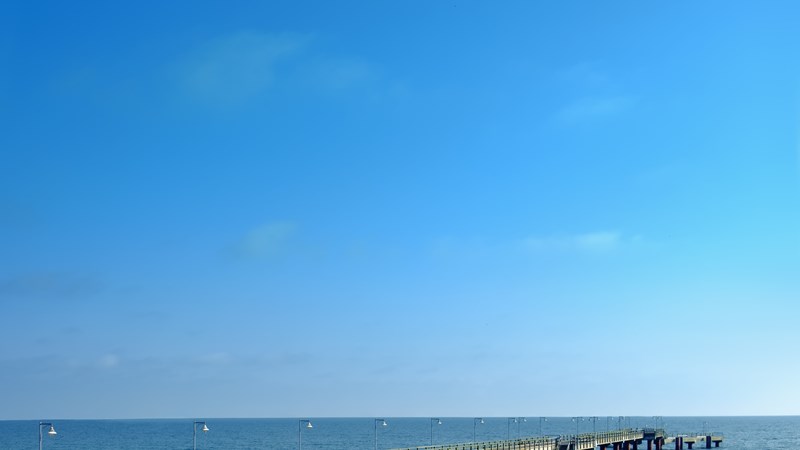 protective-grass-holding-sand-beaches-of-baltic-sea.jpg
