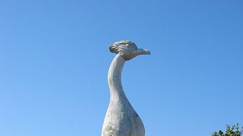 image (8).jpg